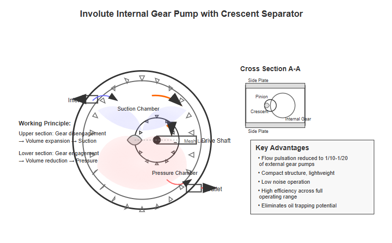 Cross-section of an involute internal gear pump