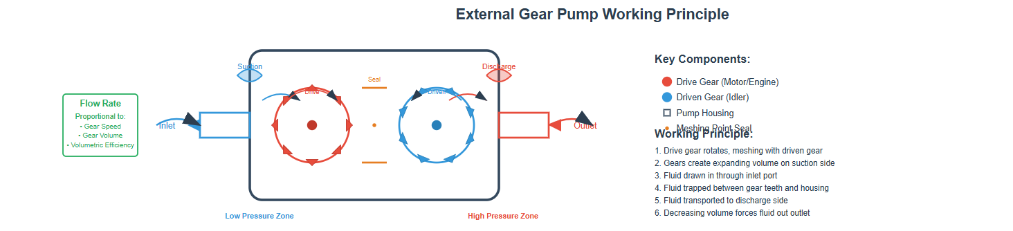 Diagram showing the working principle of an external gear pump