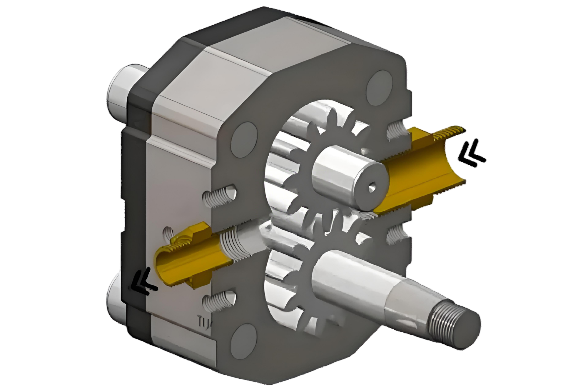 Gear pump cutaway showing internal components
