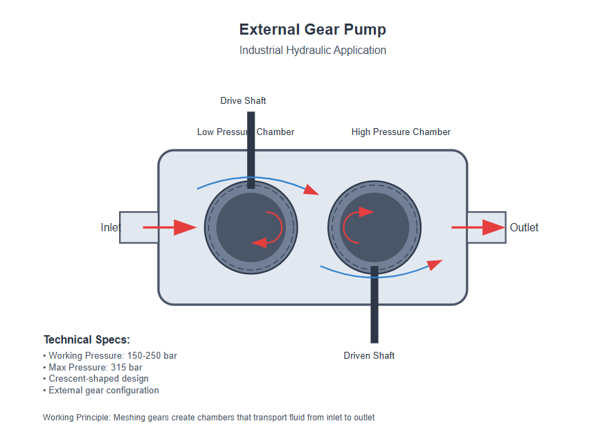 Cross-section of a gear pump showing meshing gears