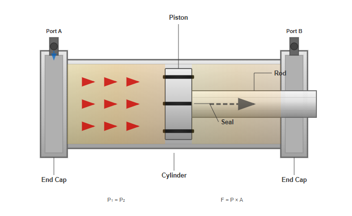 Anatomical diagram of hydraulic cylinder components